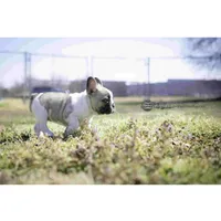 processed/27b0000f-21c5-46a7-aeac-6c6e1f6d8060/facility/3b270c30-d6b9-4c77-94db-207f39939466