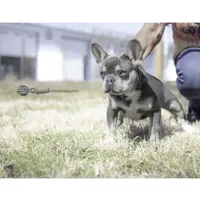 processed/27b0000f-21c5-46a7-aeac-6c6e1f6d8060/facility/61d03336-523f-4986-bbcd-23182f13d940