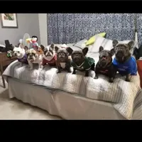 processed/27b0000f-21c5-46a7-aeac-6c6e1f6d8060/facility/76370a6c-a006-42bc-a029-b04aa75aba51