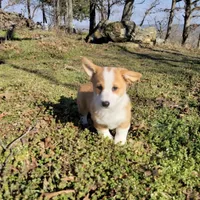 processed/27b0000f-21c5-46a7-aeac-6c6e1f6d8060/facility/858eb496-921e-4aa8-a4df-9e54c47d8bd6