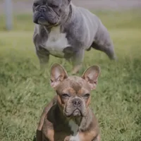 processed/27b0000f-21c5-46a7-aeac-6c6e1f6d8060/facility/b4836d52-8db9-4819-b138-3224f773f7d2