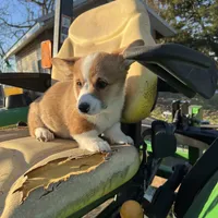 processed/27b0000f-21c5-46a7-aeac-6c6e1f6d8060/facility/ca32af11-1f01-4797-b7fd-7ae899b05c50