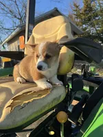 processed/27b0000f-21c5-46a7-aeac-6c6e1f6d8060/facility/ca32af11-1f01-4797-b7fd-7ae899b05c50