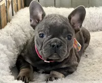 processed/27b0000f-21c5-46a7-aeac-6c6e1f6d8060/listing/2fc82902-004f-4fc6-91df-5f0a9b7cf878/1a67d5cd-84c0-4d3e-84ec-f981b4832cfe