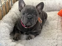 processed/27b0000f-21c5-46a7-aeac-6c6e1f6d8060/listing/2fc82902-004f-4fc6-91df-5f0a9b7cf878/277f629d-a28c-49c2-8063-8a53079d356d