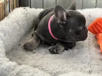 processed/27b0000f-21c5-46a7-aeac-6c6e1f6d8060/listing/2fc82902-004f-4fc6-91df-5f0a9b7cf878/51ef8167-846c-40a8-bac6-da2d06adaf1f