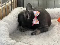 processed/27b0000f-21c5-46a7-aeac-6c6e1f6d8060/listing/2fc82902-004f-4fc6-91df-5f0a9b7cf878/59b80403-bb79-49f9-a354-142fd30585a6