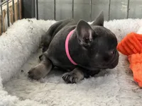 processed/27b0000f-21c5-46a7-aeac-6c6e1f6d8060/listing/2fc82902-004f-4fc6-91df-5f0a9b7cf878/5d857531-837c-495a-81a7-30661359ccee