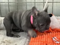 processed/27b0000f-21c5-46a7-aeac-6c6e1f6d8060/listing/2fc82902-004f-4fc6-91df-5f0a9b7cf878/7716e413-23e3-4e36-b85d-f9fa873a61d5