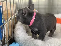 processed/27b0000f-21c5-46a7-aeac-6c6e1f6d8060/listing/2fc82902-004f-4fc6-91df-5f0a9b7cf878/dd7b7ba1-7110-4fd7-ad7f-b01590e56ad6