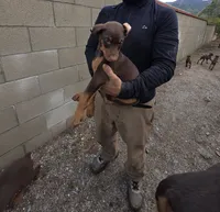 processed/27b01a0c-983a-4787-b03e-3b4012a993a3/listing/1fb3af55-8890-46a2-8237-e7edebad8bf0/1066e50a-bc81-4703-a218-61239d8ccb59