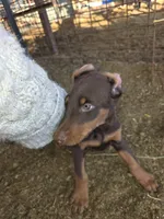 processed/27b01a0c-983a-4787-b03e-3b4012a993a3/listing/2dd3c991-9759-4c66-a956-dd1ba62d7bae/e72710c1-2f1c-4508-a945-0eddeba972d3