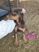 processed/27b01a0c-983a-4787-b03e-3b4012a993a3/listing/336ff61f-88af-459c-a774-730d2b333164/40b1b7ba-8e7b-4615-ba6e-754426ad45e8