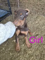 processed/27b01a0c-983a-4787-b03e-3b4012a993a3/listing/336ff61f-88af-459c-a774-730d2b333164/bfc6e6c5-4685-426e-88da-7664ece8f438