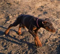 processed/27b01a0c-983a-4787-b03e-3b4012a993a3/listing/708a34c0-4960-400c-80dc-e0d9f238c9aa/1d6c1eec-e60b-4633-92ce-2d95314ec155