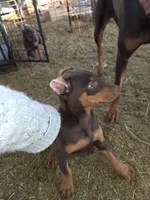 processed/27b01a0c-983a-4787-b03e-3b4012a993a3/listing/ad6e87db-8b7c-4cc4-97d5-80b94794c46f/1fc6c9b4-d4ec-464b-a967-4bce7e9b2771