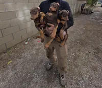 processed/27b01a0c-983a-4787-b03e-3b4012a993a3/listing/ad6e87db-8b7c-4cc4-97d5-80b94794c46f/83c67c18-62a6-415f-b60b-a2b6242c96af