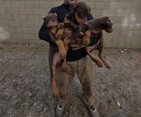 processed/27b01a0c-983a-4787-b03e-3b4012a993a3/listing/ad6e87db-8b7c-4cc4-97d5-80b94794c46f/f733355a-0278-4253-baf9-3feb944a6a5d