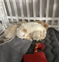 processed/27b46b39-d67c-4733-8fd6-08a214825d16/facility/1b0d493e-684d-4a2b-8333-40da6cd14b30