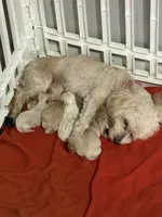 processed/27b46b39-d67c-4733-8fd6-08a214825d16/facility/7760913f-a456-4a96-aebb-695033bac6b9