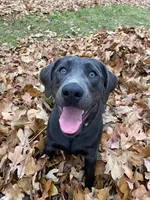 processed/27b4d61a-c9e3-4c02-9762-0b815141cc53/facility/20331ca6-49d9-42e9-a3de-9b093dfb108e