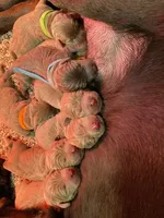 processed/27b4d61a-c9e3-4c02-9762-0b815141cc53/facility/3cb0219d-500a-4cc0-bea9-904c4956c567