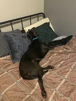 processed/27b4d61a-c9e3-4c02-9762-0b815141cc53/facility/5887cfe6-610b-4271-a612-11e36ee2113f