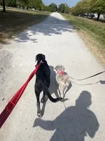 processed/27b4d61a-c9e3-4c02-9762-0b815141cc53/facility/715ccb00-065d-4ce4-beca-e313f45d32d6