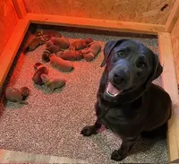 processed/27b4d61a-c9e3-4c02-9762-0b815141cc53/facility/9863e3d2-d15b-4e1b-9f36-881eeb05804a