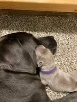 processed/27b4d61a-c9e3-4c02-9762-0b815141cc53/facility/9c94ac66-2c5b-4fcb-a684-d6d4159ca4dd