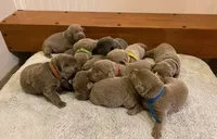 processed/27b4d61a-c9e3-4c02-9762-0b815141cc53/facility/c58dd172-5f5e-4727-9bf3-713e87e099c7