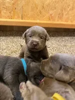 processed/27b4d61a-c9e3-4c02-9762-0b815141cc53/facility/d402c3b4-6dba-4ee0-b7f1-bd018a900d15