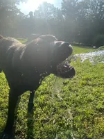 processed/27b4d61a-c9e3-4c02-9762-0b815141cc53/facility/e4747131-87be-4f04-be4f-5b80dae9c916