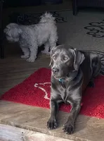 processed/27b4d61a-c9e3-4c02-9762-0b815141cc53/facility/fa35ad3e-0826-4e89-87fc-34868e0cb037