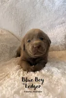 processed/27b4d61a-c9e3-4c02-9762-0b815141cc53/listing/ce7d8bd0-0654-4c78-965e-a7c5b20ceaa4/7bcf5cf5-f710-45bd-a38f-12c6e2f71627