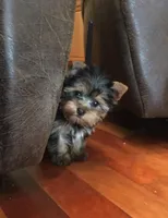 processed/27b4f5a4-c1d8-4608-9d89-3800eb79f0ec/facility/02fa5ed7-39b4-4a34-893a-e5e906f2965a