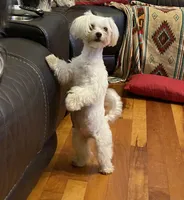 processed/27b4f5a4-c1d8-4608-9d89-3800eb79f0ec/facility/769c1cf2-2e2d-48f2-a5ee-705753a7ef00