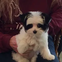 processed/27b4f5a4-c1d8-4608-9d89-3800eb79f0ec/facility/a9792c60-faa0-497c-8350-7ec97a88b0b7