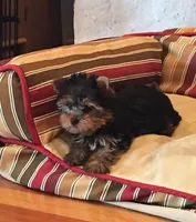 processed/27b4f5a4-c1d8-4608-9d89-3800eb79f0ec/facility/b2988a6d-4a8a-4b4b-a8b4-b463477c9444