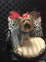 processed/27b4f5a4-c1d8-4608-9d89-3800eb79f0ec/facility/de5579a9-9e17-435b-9973-3e2edd12458b