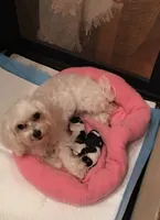 processed/27b4f5a4-c1d8-4608-9d89-3800eb79f0ec/facility/fa69b190-7d1c-4e14-b60d-53755584ae8b