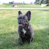 processed/27c7ecec-18a8-4322-890b-d6ec11139b3b/facility/044a642c-31f6-46c9-9d51-beb1a6f6e120