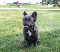 processed/27c7ecec-18a8-4322-890b-d6ec11139b3b/facility/044a642c-31f6-46c9-9d51-beb1a6f6e120