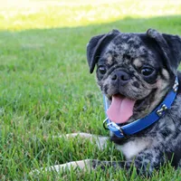 processed/27c7ecec-18a8-4322-890b-d6ec11139b3b/facility/1ddc847c-97f7-404d-afc1-d7211d318b07