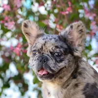 processed/27c7ecec-18a8-4322-890b-d6ec11139b3b/facility/5858ab32-8565-4877-978f-b62062d6c5df