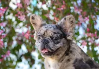 processed/27c7ecec-18a8-4322-890b-d6ec11139b3b/facility/5858ab32-8565-4877-978f-b62062d6c5df