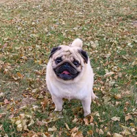 processed/27c7ecec-18a8-4322-890b-d6ec11139b3b/facility/5b4ba370-e42a-4807-a7e1-041e720d487b