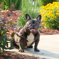 processed/27c7ecec-18a8-4322-890b-d6ec11139b3b/facility/7040cc11-3f59-4f00-8479-33a0ff79dee8