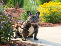 processed/27c7ecec-18a8-4322-890b-d6ec11139b3b/facility/7040cc11-3f59-4f00-8479-33a0ff79dee8