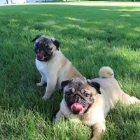 processed/27c7ecec-18a8-4322-890b-d6ec11139b3b/facility/70d9d1b7-16ec-4ece-a3c2-6b9aeacb57db